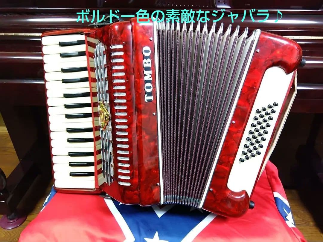 【即演奏可】TOMBO T32 アコーディオン 整備簡易調律済 30鍵32ベース