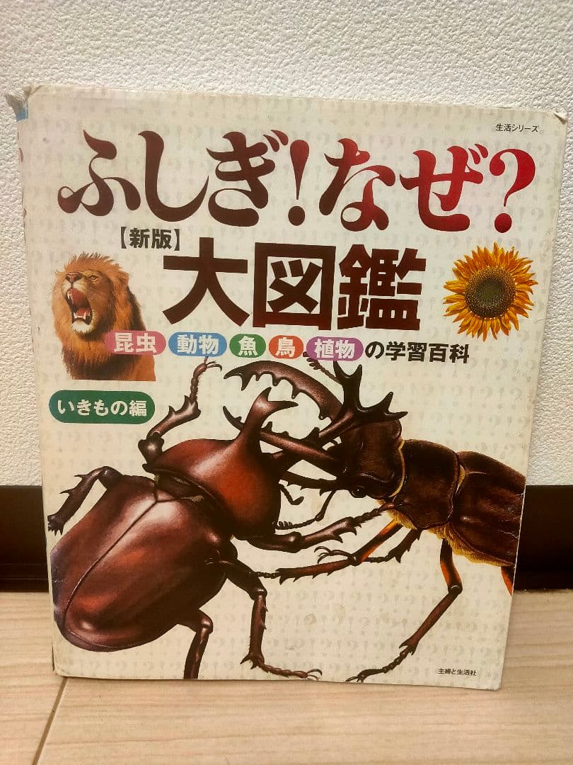 小学館の図鑑NeoプレNeo 楽しく遊ぶ学ぶ ちがいはっけん図鑑10冊まとめ売り