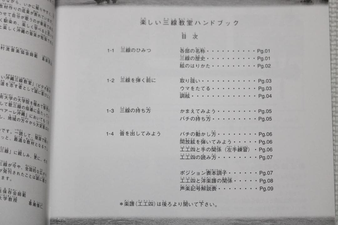 沖縄三線セット（人工皮張り）教本と初心者に必要なお得な付属品付 新品未使用