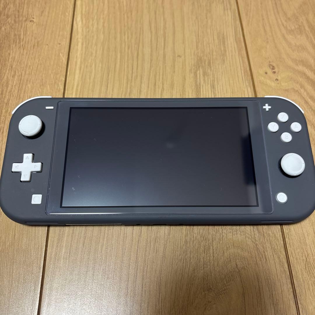 Nintendo Switch Lite グレー本体　総プレイ時間300時間未満