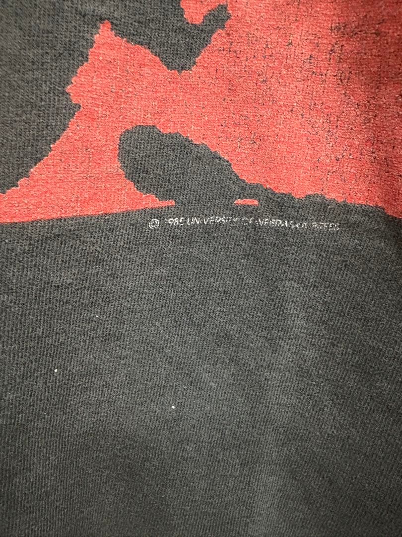 rage against the machine レイジ Tシャツ　チェゲバラ