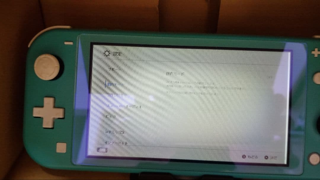 【ジャンク】ニンテンドー　スイッチライト　ターコイズ　おまけ付き