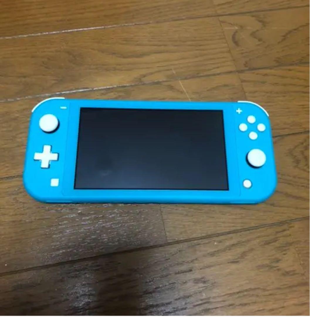 Switch ライト どうぶつの森付属