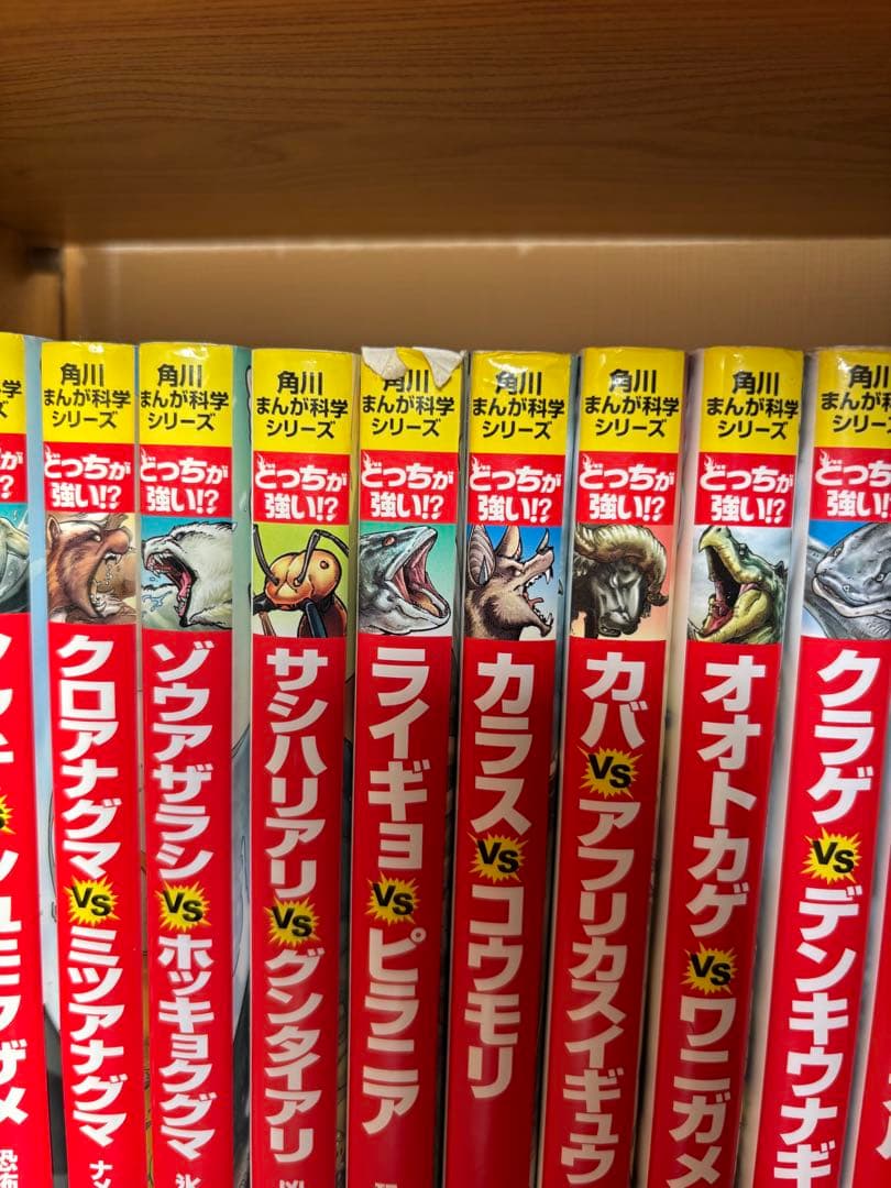 どっちが強い⁉︎ シリーズ26冊＋2冊セット