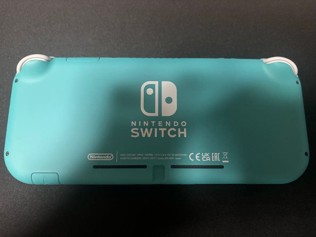Nintendo Switch Lite / ニンテンドースイッチライト　本体