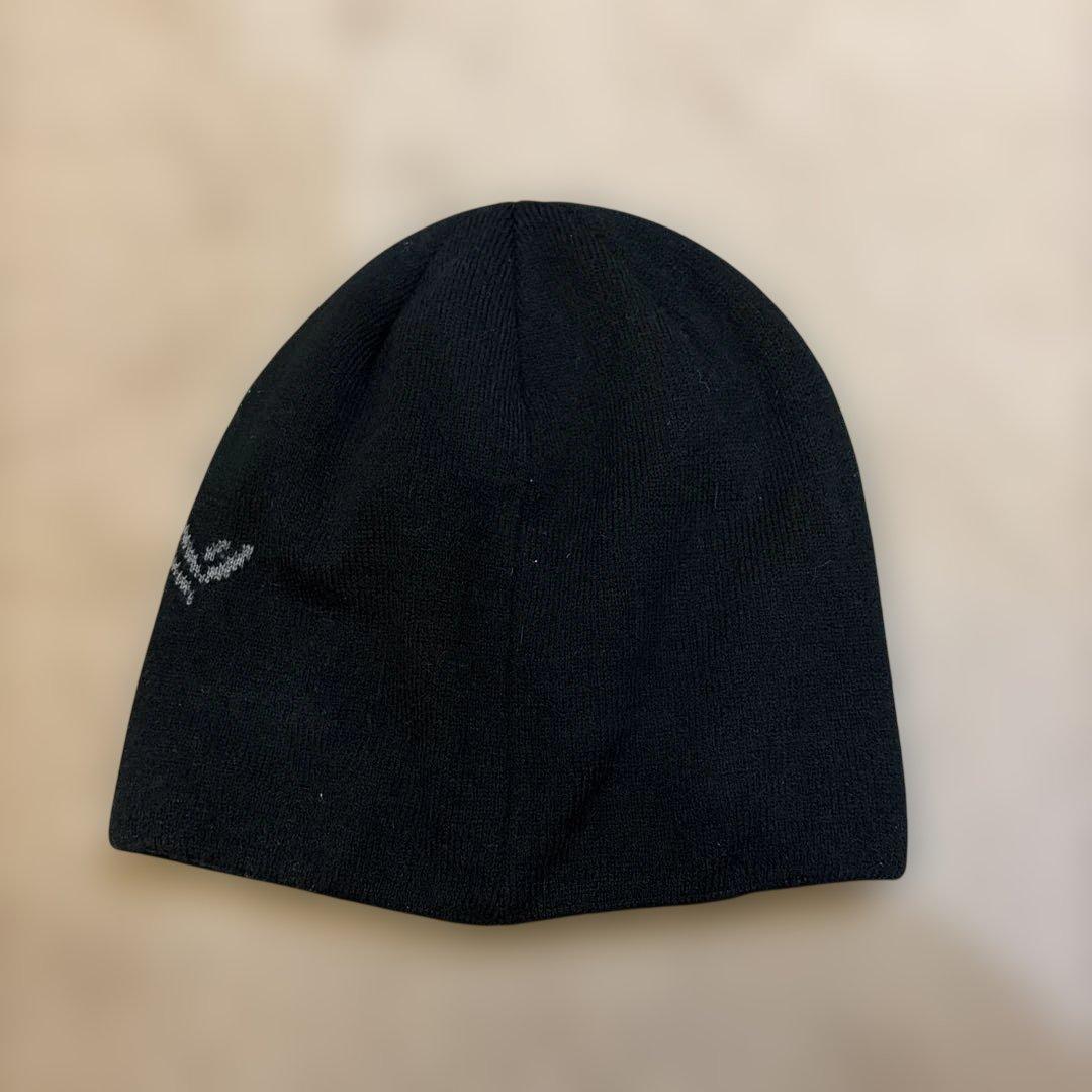 ARC'TERYX FERNIE TOQUE ニット帽　ビーニー
