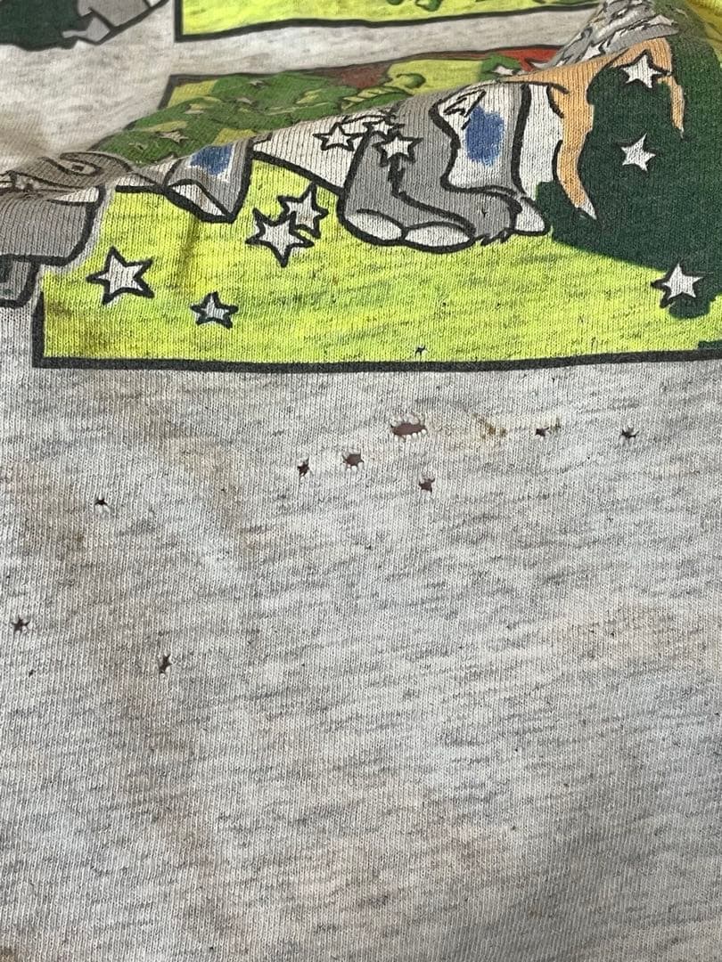 beastieboys Tシャツ ビンテージ Taka着用 ビースティーボーイズ
