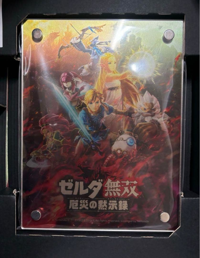 ゼルダ無双 厄災の黙示録 TREASURE BOX Switch