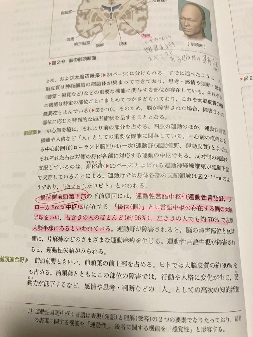 系統看護学講座 基礎看護学 成人看護学 2022〜2023年 19冊まとめ売り