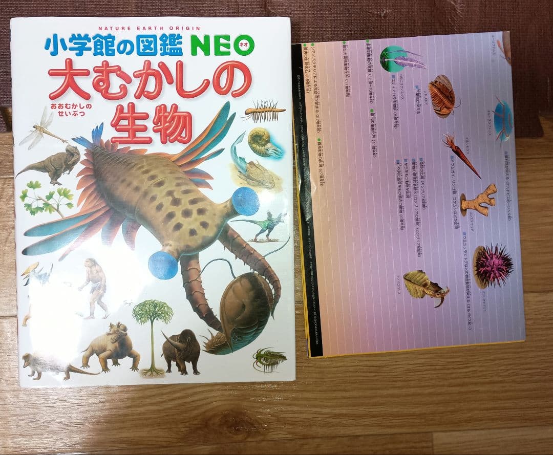 小学館の図鑑 NEO 9冊+NEOプラス1冊　１０冊セット