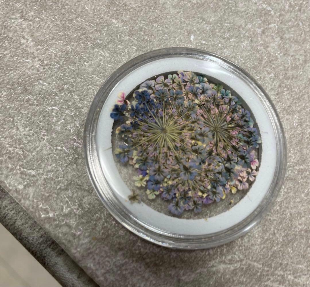 Maison de riry 押し花・ドライフラワー　ネイル