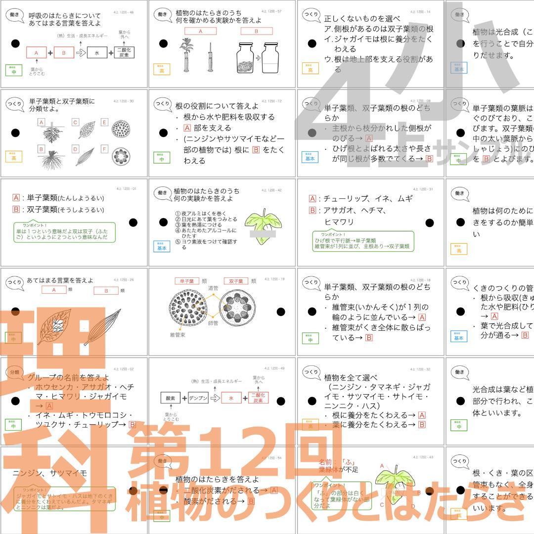 中学受験【4年上ハーフセット 社会・理科11-19回】組分けテスト対策 予シリ