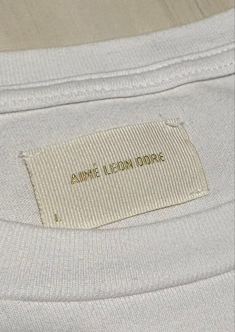 AIMÉ LEON DORE ホワイト Tシャツ L