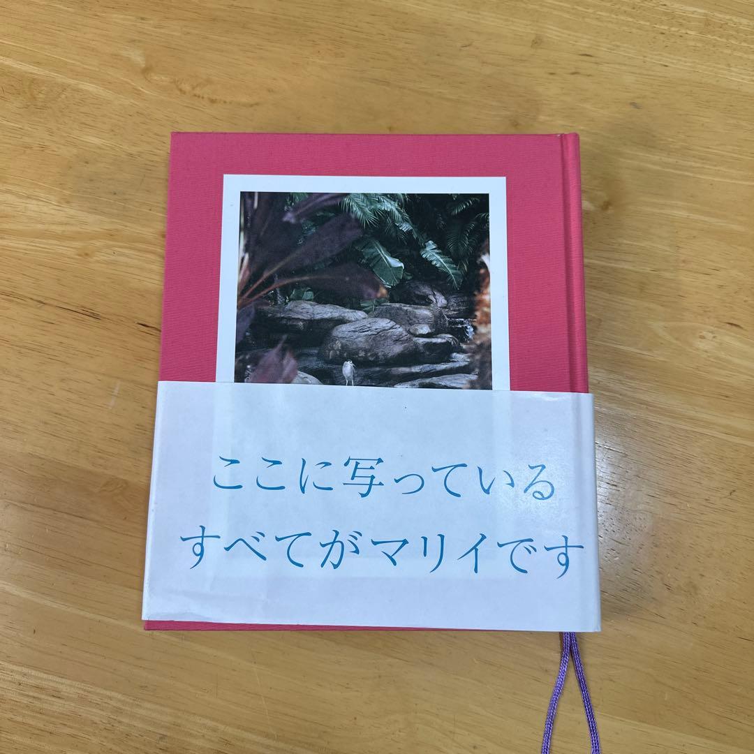 マリイ　帯付き　松岡一哲