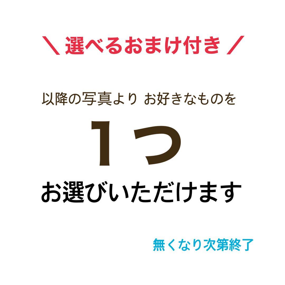 ニジュウカノウ　ボディバッグ　ブラック　Mサイズ