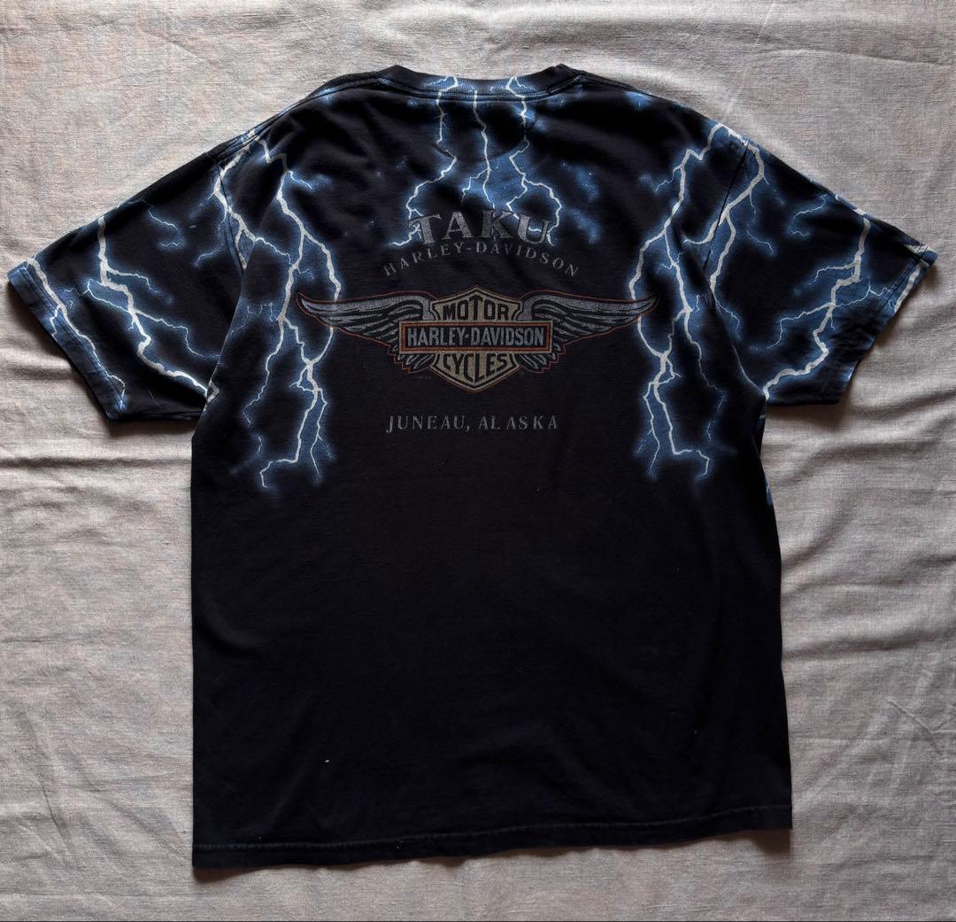 【Special】 USA製 HARLEY DAVIDSON サンダー アメカジ