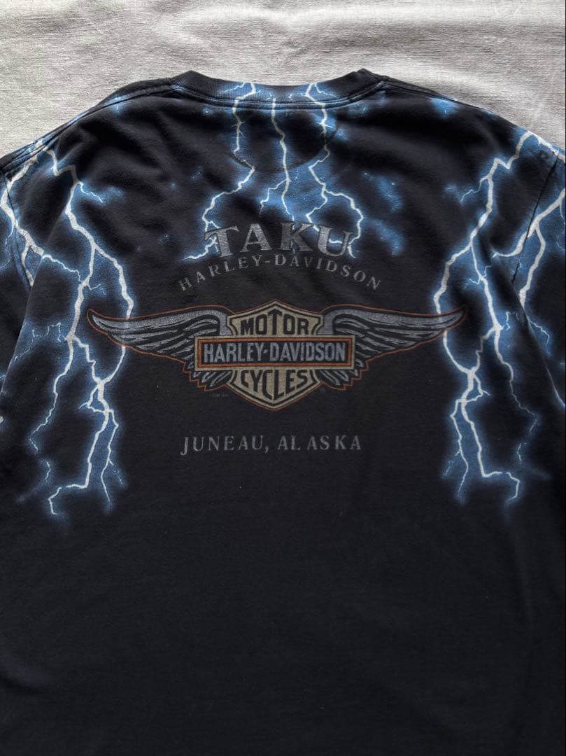 【Special】 USA製 HARLEY DAVIDSON サンダー アメカジ