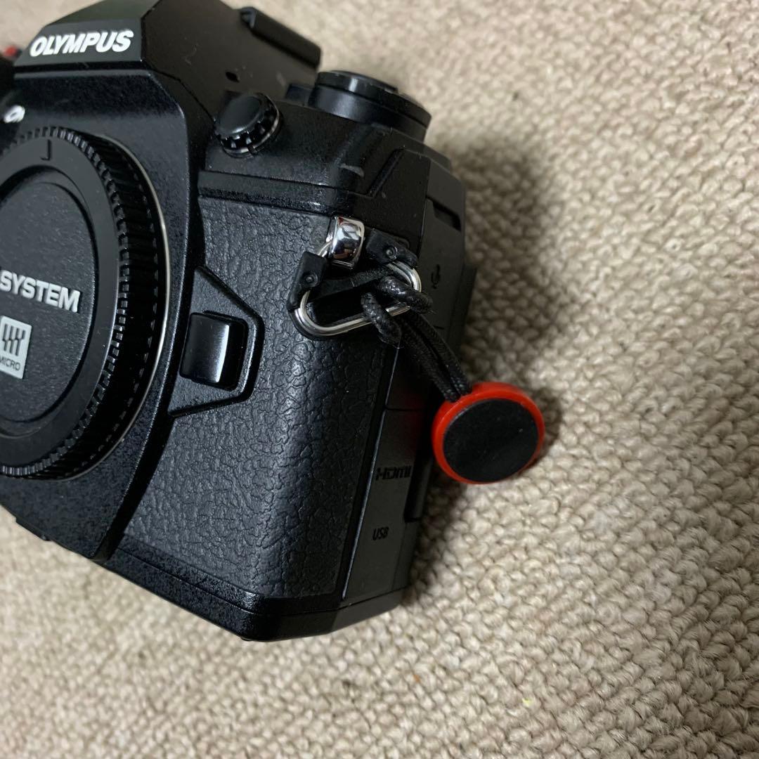 OLYMPUS OM-D E-M1 Mark II パワーグリップ付き