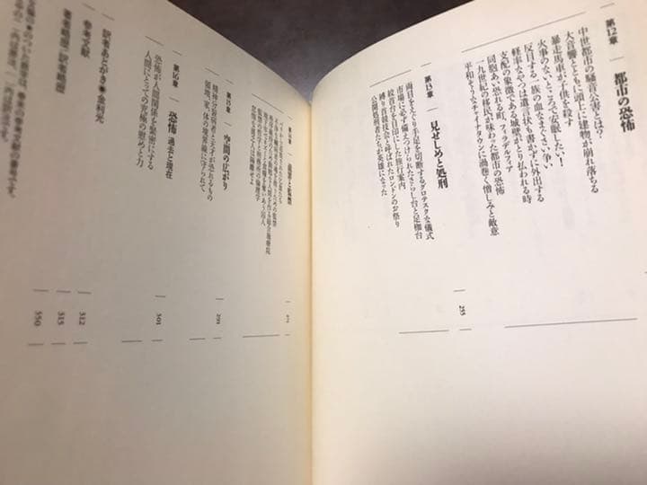 恐怖の博物誌　人間を駆り立てるマイナスの想像力　イーフー トゥアン　書き込み無し