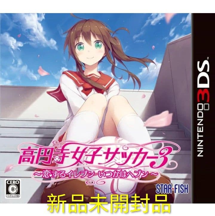 【新品】高円寺女子サッカー3 恋するイレブン いつかはヘブン ニンテンドー3DS