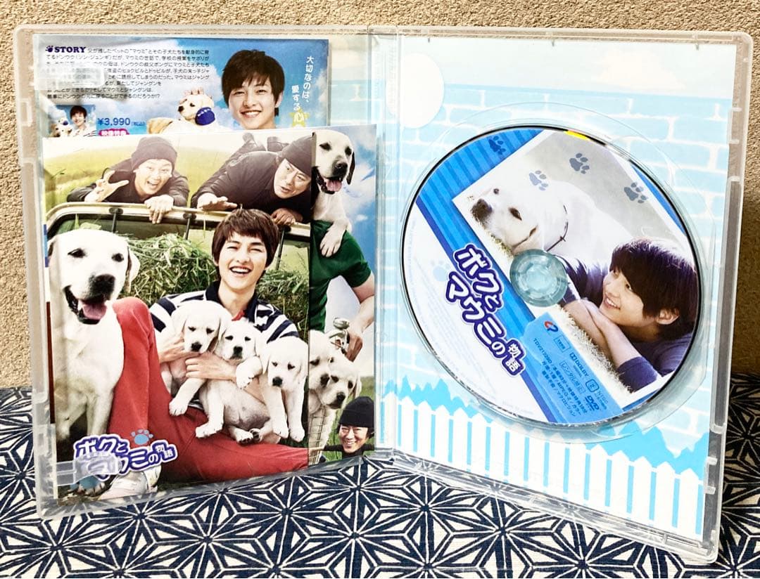 希少 韓流　セル版 DVD ボクとマウミの物語 / ソン・ジュンギ主演作
