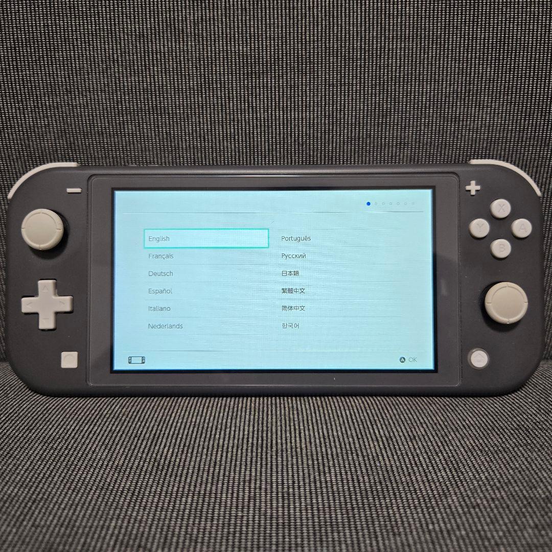 【ジャンク/junk】Nintendo Switch Lite グレー 本体のみ