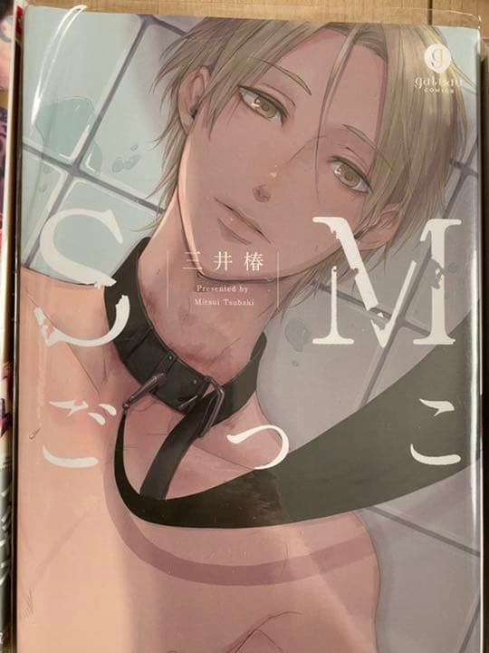 BL漫画 セット売り SMプレイシリーズ