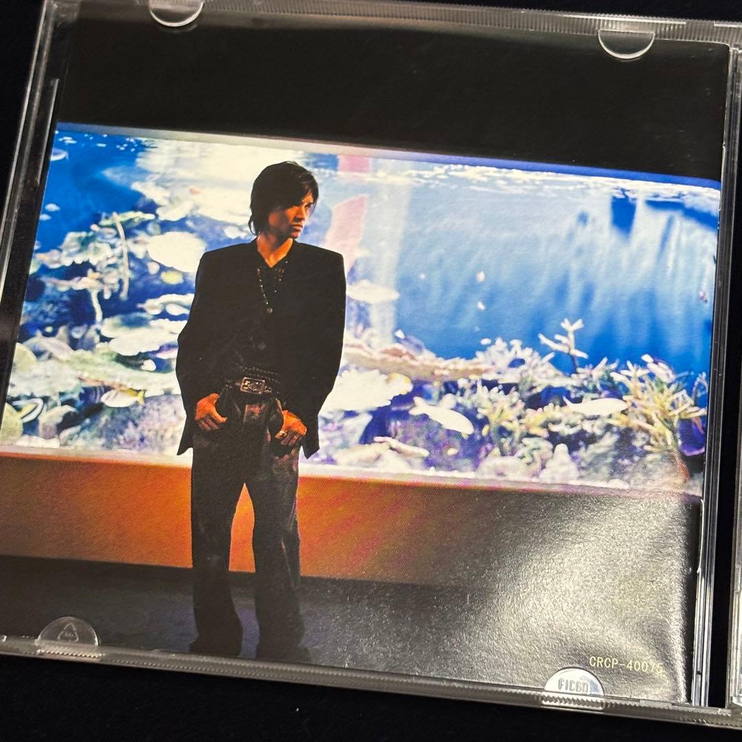 成田昭次 Free way フリーウェイ CD アルバム SHOJI 【6-7】