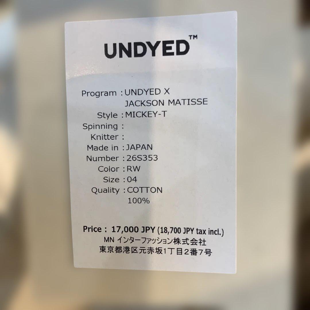 UNDYED×JACKSON MATISSE Tシャツ　XL