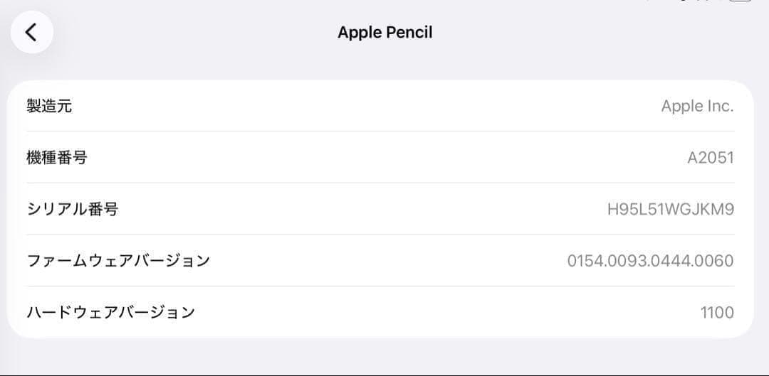 正常動作確認済み　Apple Pencil 第2世代　MU8F2J/A　s8