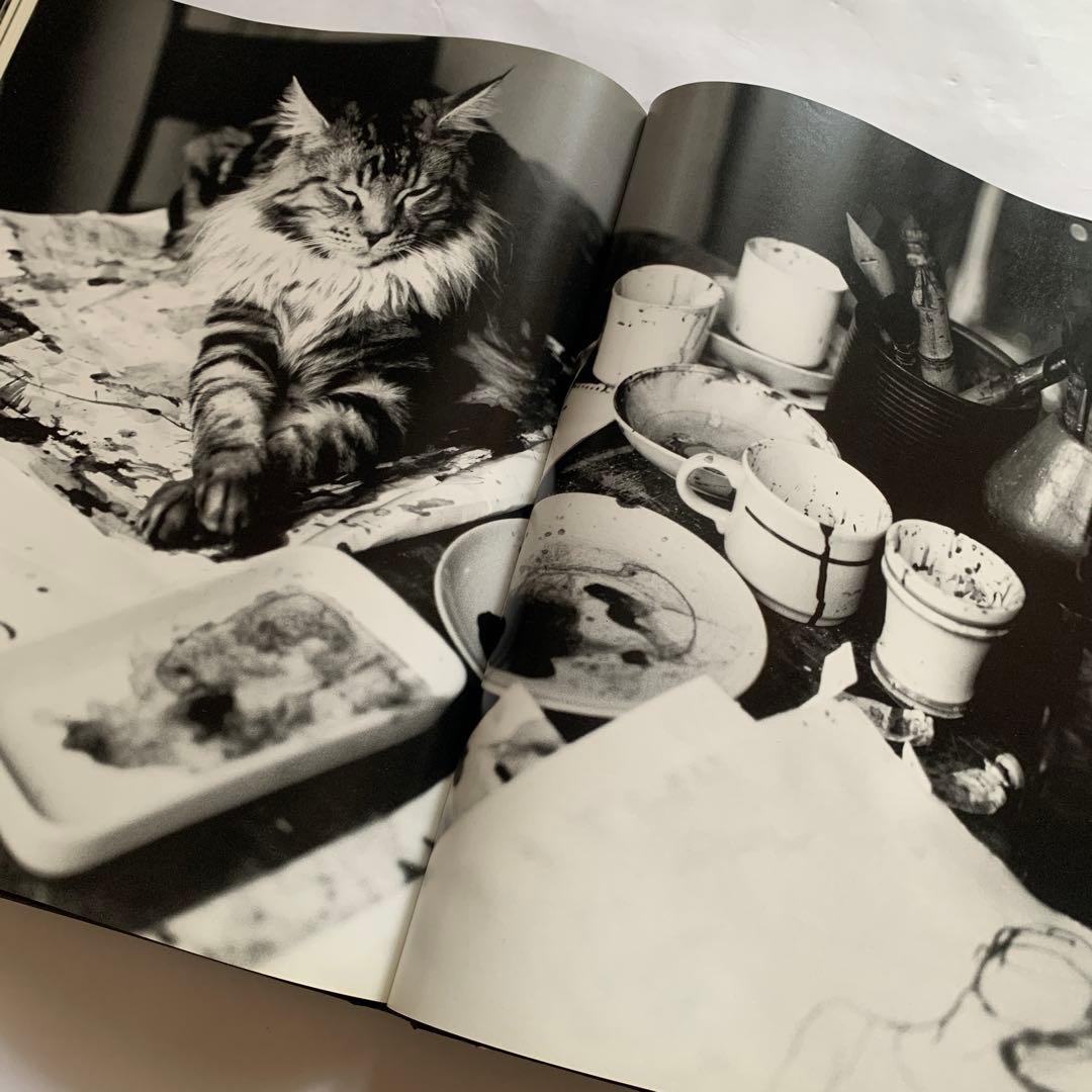 パトリックデマルシェリエPATRICK DEMARCHELIER写真集