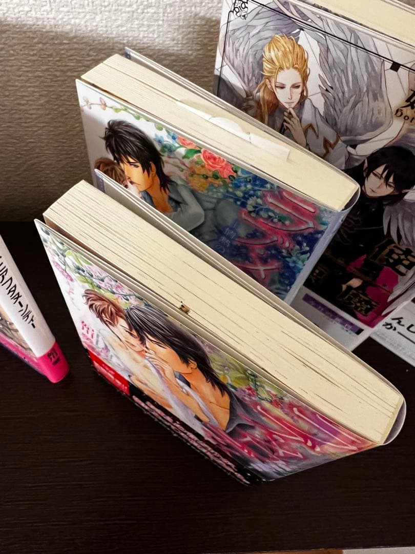 妃川螢 BL小説