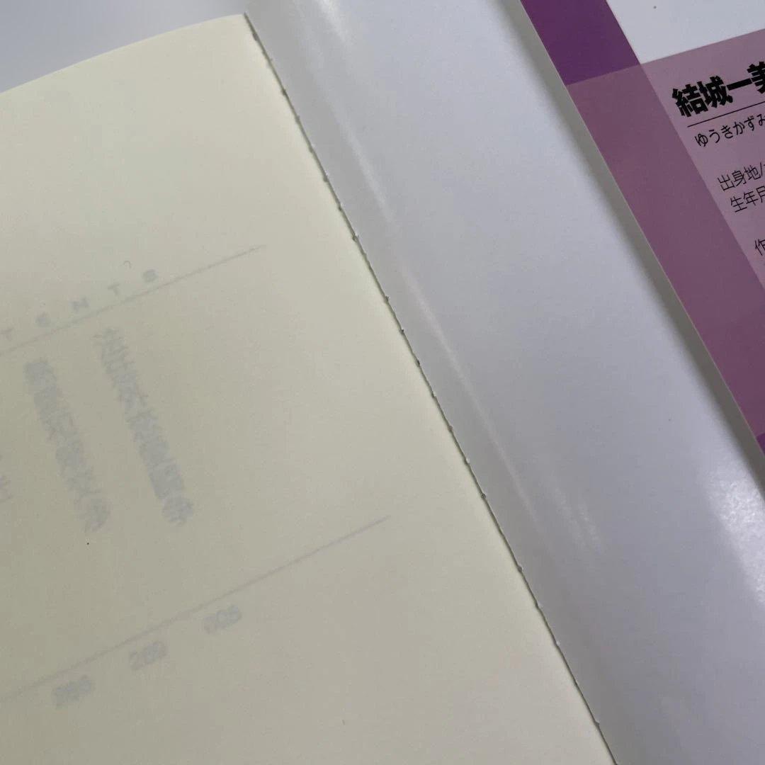 BL小説33冊セット プラチナ文庫 セシル文庫 ディアプラス文庫他