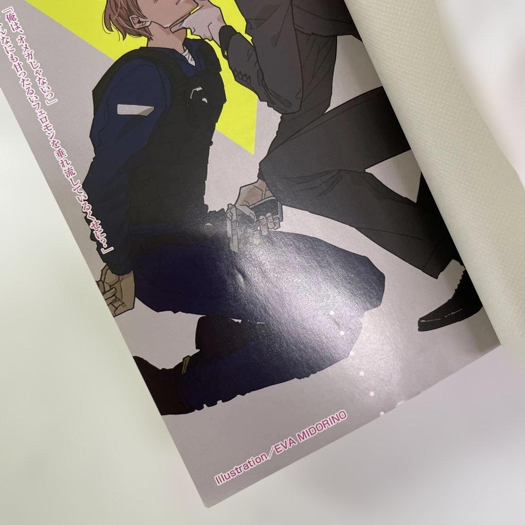 BL小説33冊セット プラチナ文庫 セシル文庫 ディアプラス文庫他