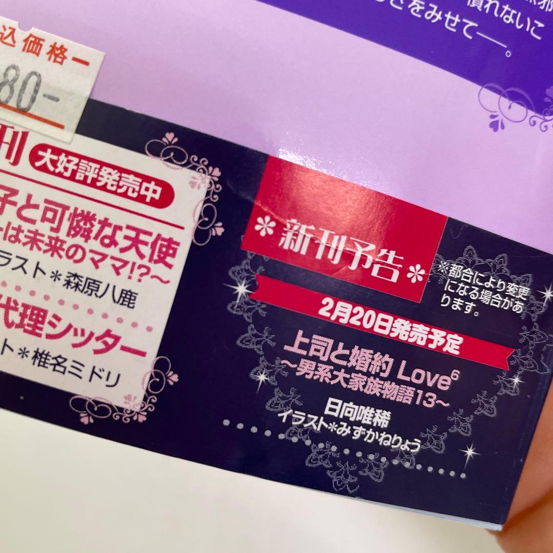 BL小説33冊セット プラチナ文庫 セシル文庫 ディアプラス文庫他