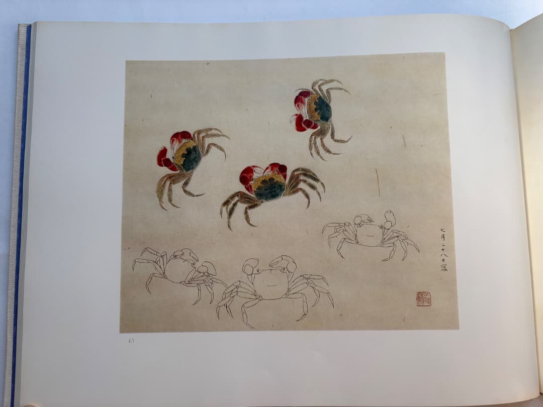 傳神譜　中村岳陵　4冊　写生画集　10.2kg 大型本画集　箱付　日本画　絵画