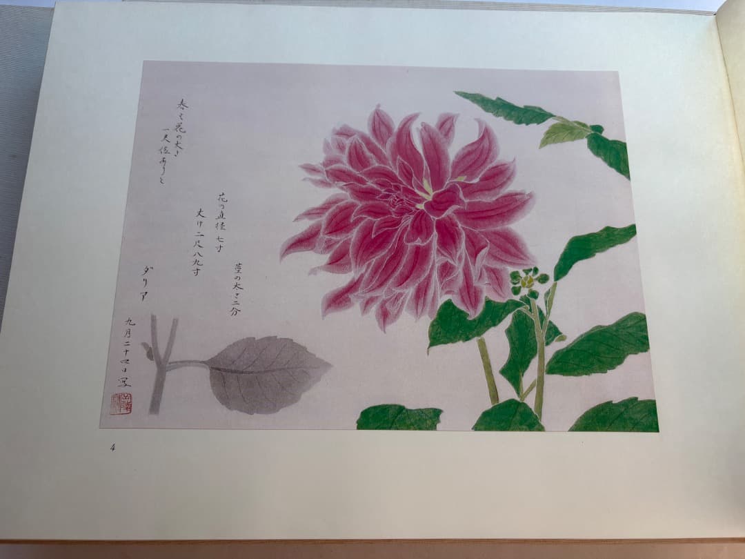 傳神譜　中村岳陵　4冊　写生画集　10.2kg 大型本画集　箱付　日本画　絵画