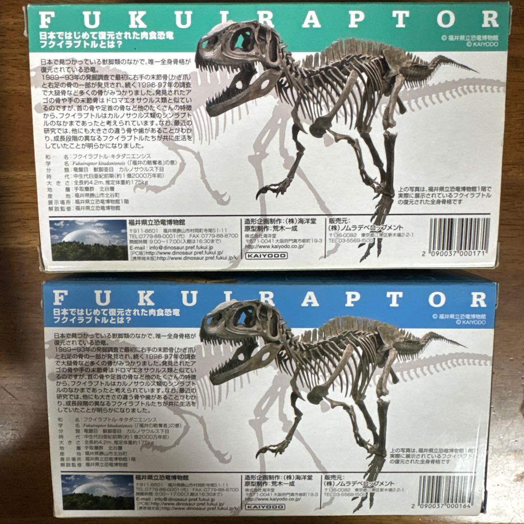 福井県立恐竜博物館　フクイラプトルフィギュア