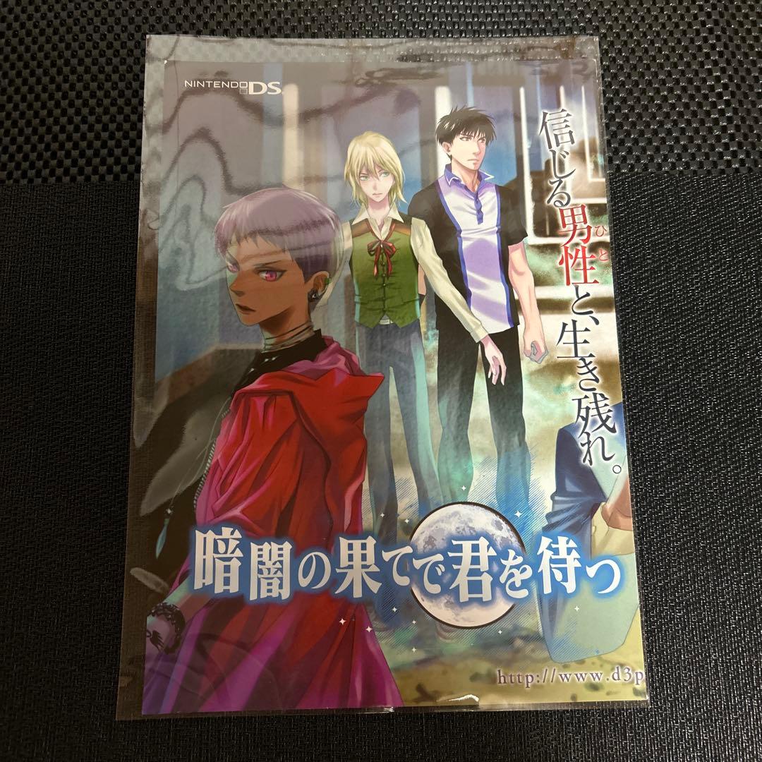 DS用ソフト『暗闇の果てで君を待つ』 パンフレット（冊子型フライヤー）