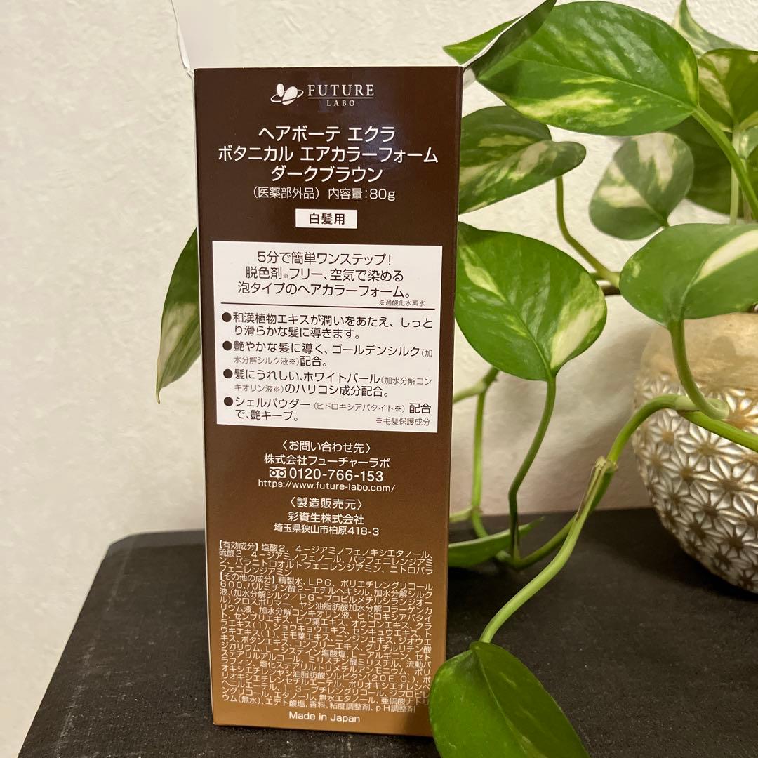 ヘアボーテ　エクラ　ボタニカルエアカラーフォーム(ダークブラウン) ３本
