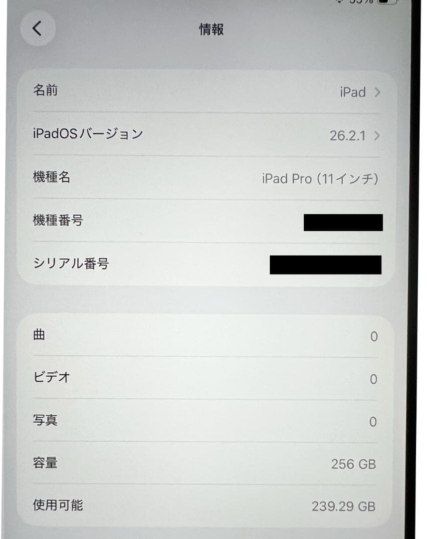 iPadPro第1世代11インチ256G+Smart Keyboard(US)