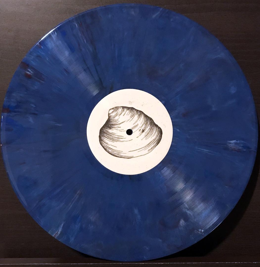 The Tumbled Sea LP Ambient ポストクラシカル