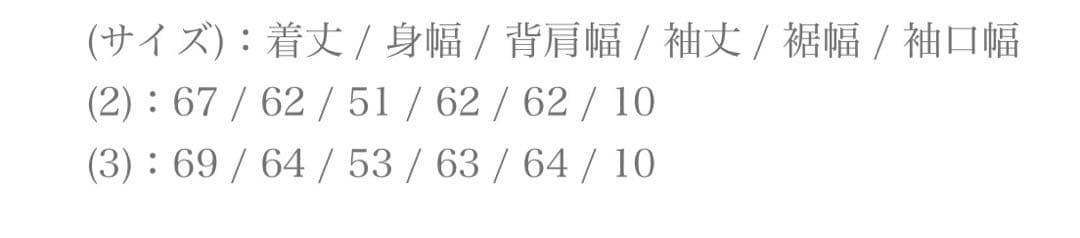 アイナ。GOLDWIN ハイゲージ スウェット シャツ arknets