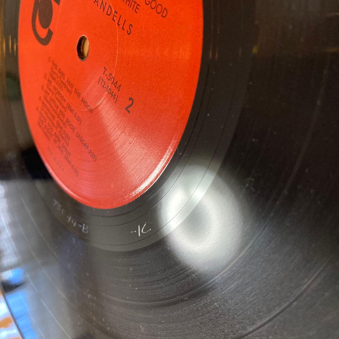 美品◼️USA原盤MONO◼️STANDELLS/WHY PICK ON ME