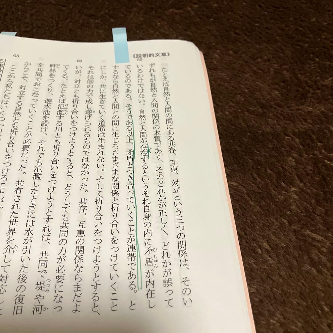 浜学園 小6国語 最高レベル特訓 講義全8冊＋復習テストNo.1〜40一部欠あり