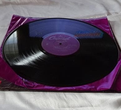 洋楽 EBONEE WEBB/TOO HOT (US LP)