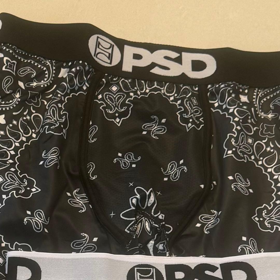 カメックス PSD
