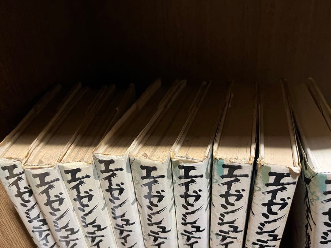エイゼンシュテイン全集✖️山田和夫　11冊
