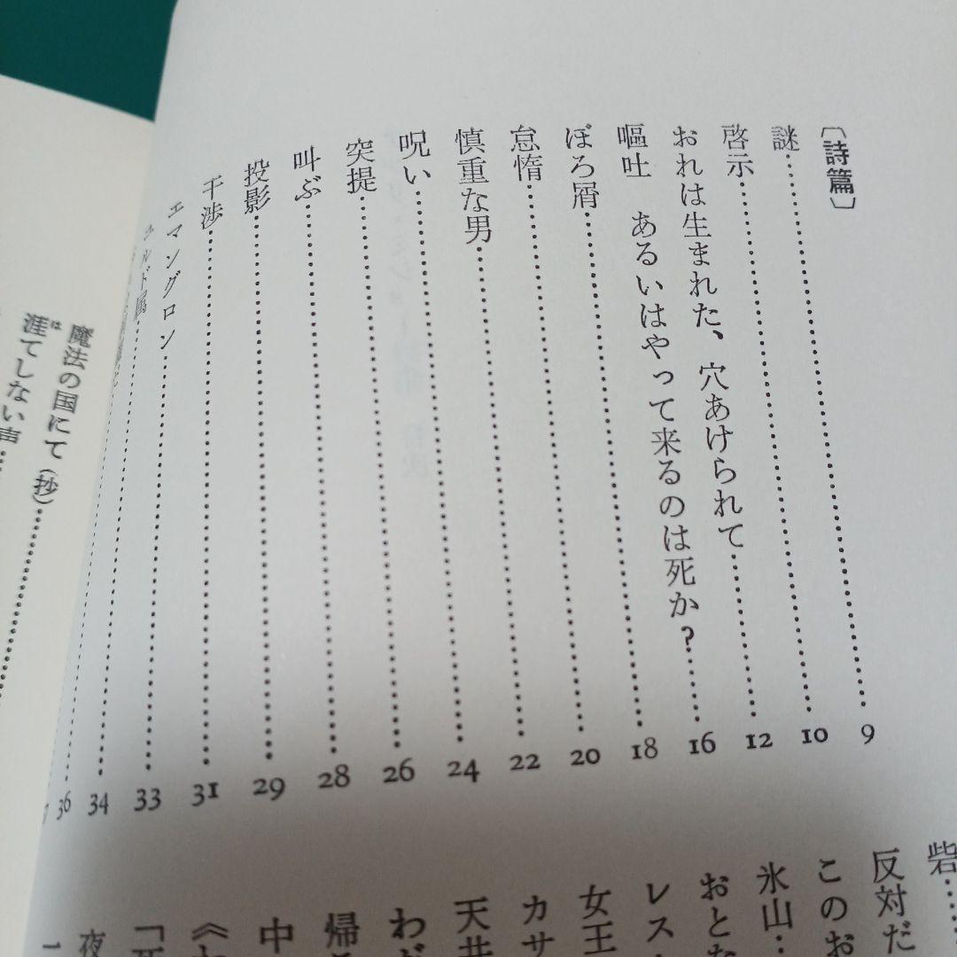 アンリ・ミショー 詩集 (双書・20世紀の詩人 19)　小沢書店