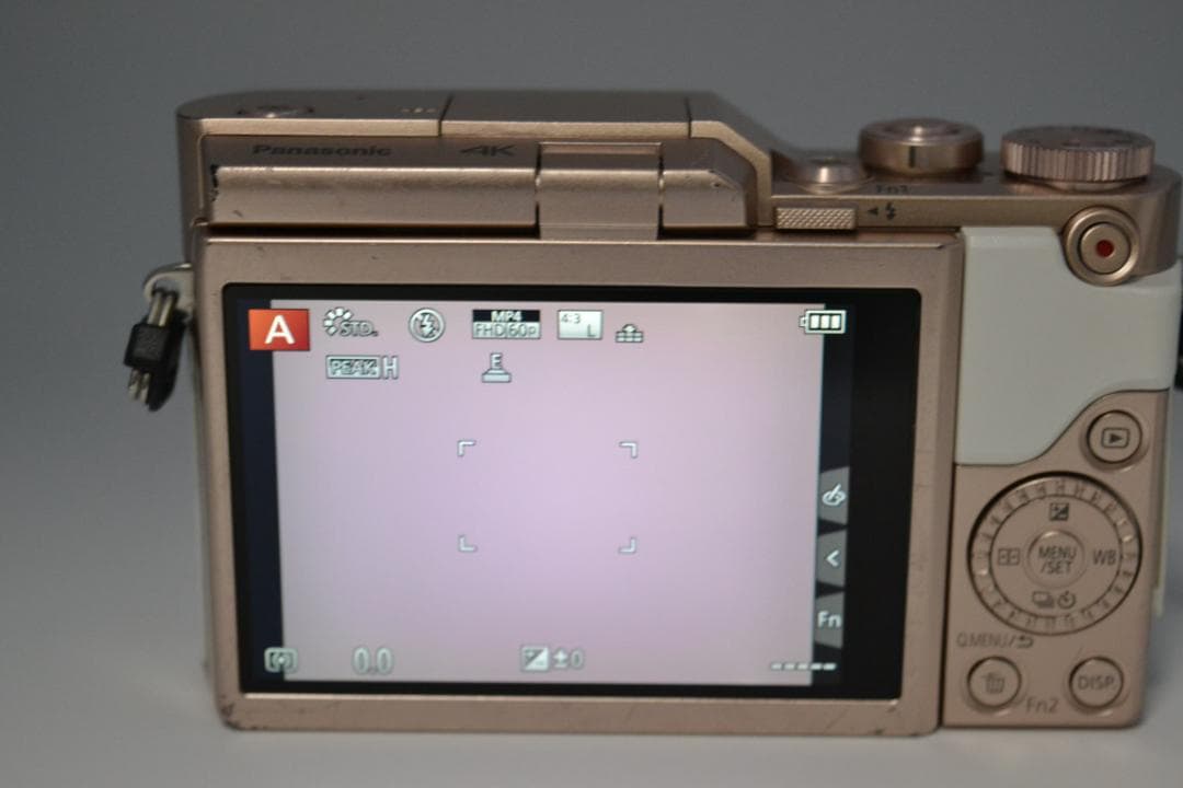 ■ S数極少41回 ■ パナソニック　Panasonic DC-GF10